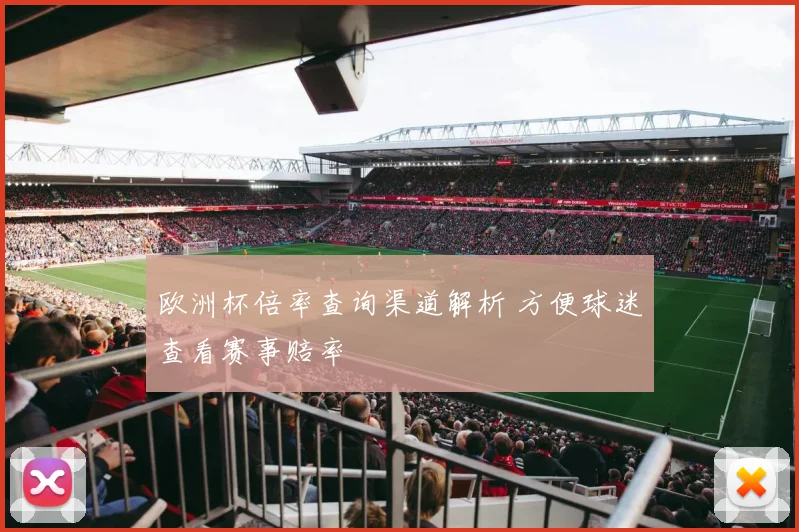 欧洲杯倍率查询渠道解析 方便球迷查看赛事赔率