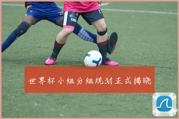 世界杯小组分组规划正式揭晓