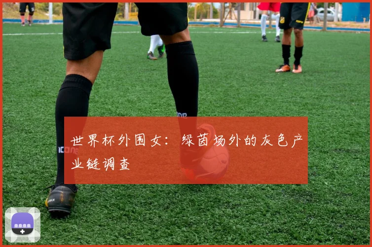 世界杯外围女:绿茵场外的灰色产业链调查
