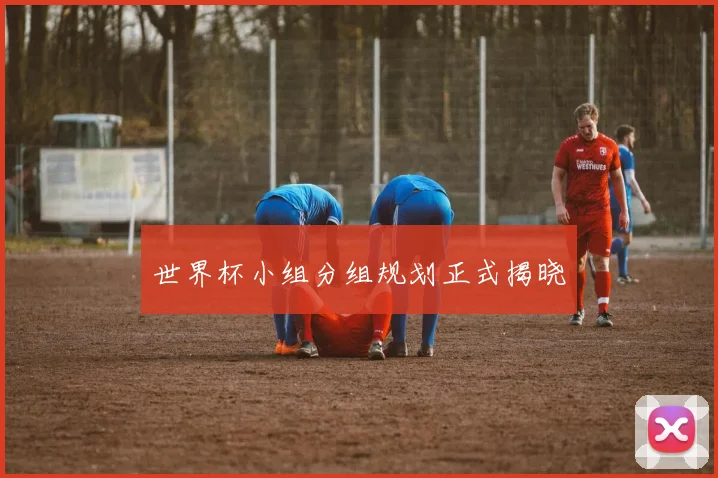 世界杯小组分组规划正式揭晓